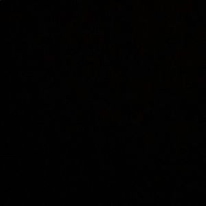 Meet your Posher, Kendall